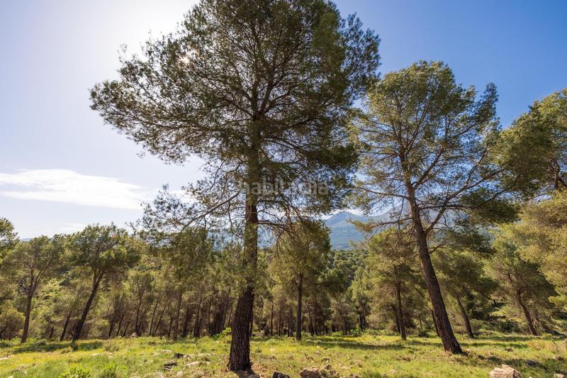 Foto 3612260a-f081-4741-a790-53ef02882e77. Finca rústica preciosa parcela ideal para poner una caravana o casa movil, para pasar fines de semana o vacaciones en Iznalloz