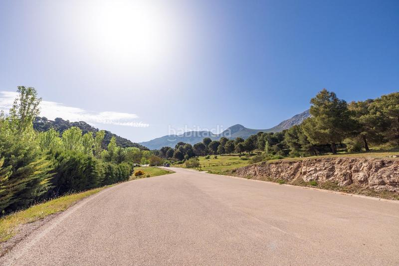 Foto 54667022-c8ce-4713-b895-7a0177523533. Finca rústica preciosa parcela ideal para poner una caravana o casa movil, para pasar fines de semana o vacaciones en Iznalloz