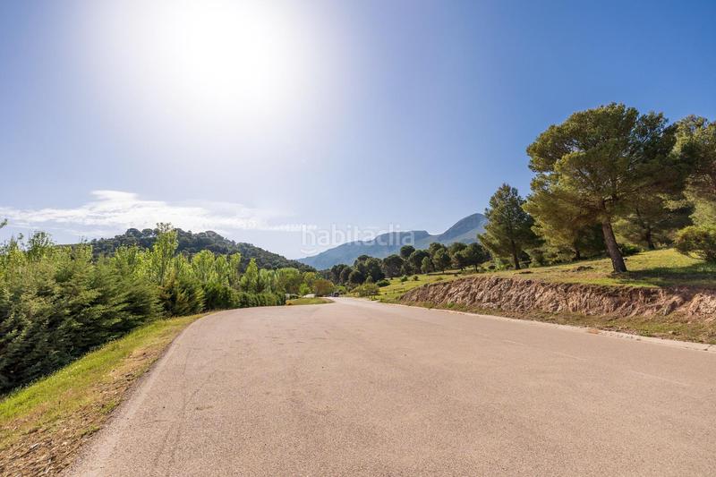 Foto 80ee98a2-422b-4456-9603-442b202e88a7. Finca rústica preciosa parcela ideal para poner una caravana o casa movil, para pasar fines de semana o vacaciones en Iznalloz