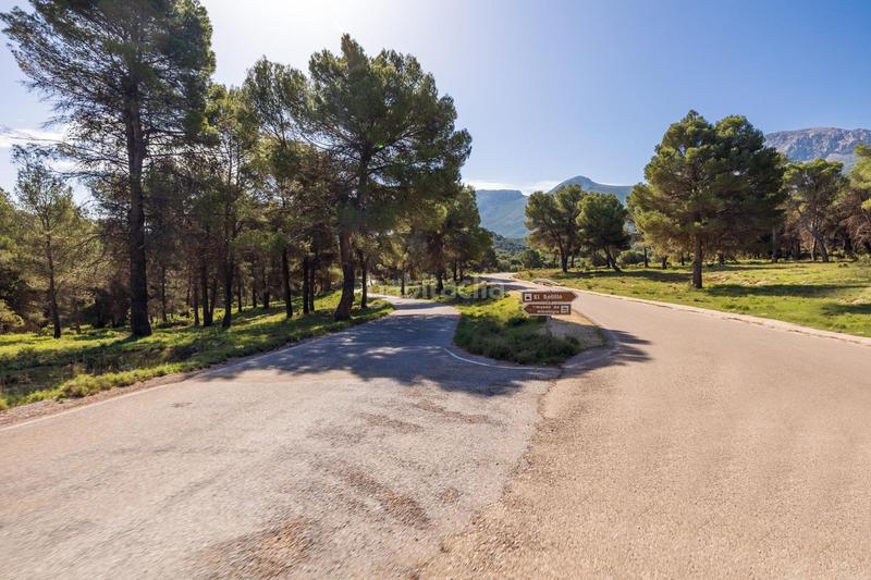 Foto 84b8ea08-a231-41c9-9f70-b1103bca11b7. Finca rústica preciosa parcela ideal para poner una caravana o casa movil, para pasar fines de semana o vacaciones en Iznalloz