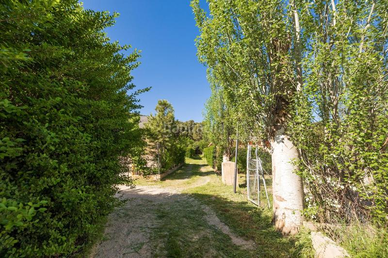 Foto 8dd19144-c79e-4c3c-85a5-a2584c5387c7. Finca rústica preciosa parcela ideal para poner una caravana o casa movil, para pasar fines de semana o vacaciones en Iznalloz
