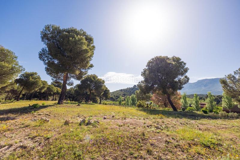 Foto b61b3eb3-9bad-4d3e-8fdb-749d858a0ec3. Finca rústica preciosa parcela ideal para poner una caravana o casa movil, para pasar fines de semana o vacaciones en Iznalloz