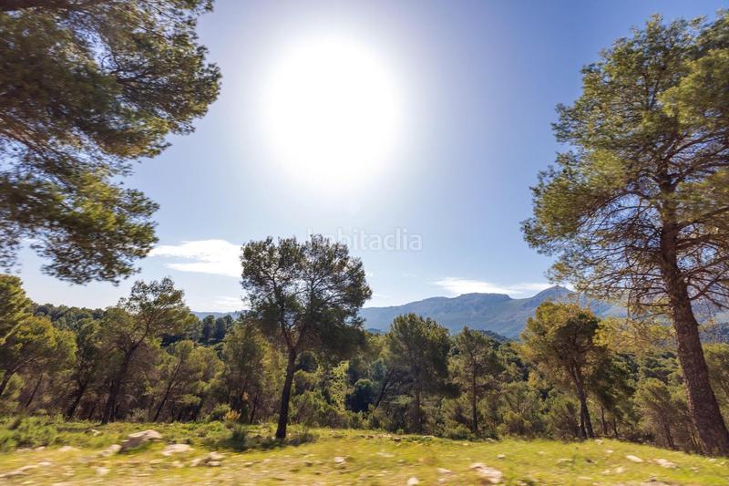 Foto b9bf5bee-a3f1-4e11-a438-6a2032cc8b98. Finca rústica preciosa parcela ideal para poner una caravana o casa movil, para pasar fines de semana o vacaciones en Iznalloz