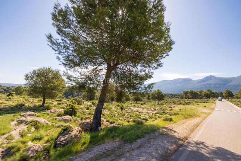 Foto e6f9186f-323e-42b3-852a-6211a516aa25. Finca rústica preciosa parcela ideal para poner una caravana o casa movil, para pasar fines de semana o vacaciones en Iznalloz