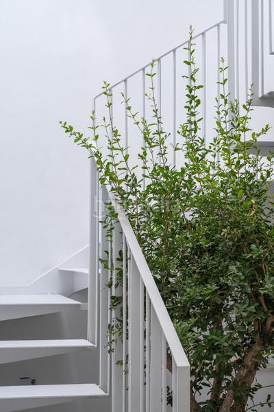 Foto 79cdbcfd-1b1f-4868-81ef-aee5ec65a46c. Pis a Barrio de Albaicín Granada