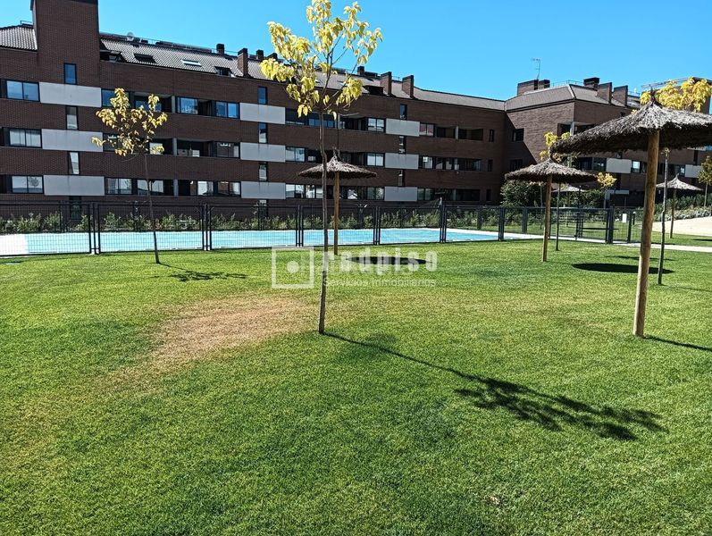 Foto ae211d97-f102-469a-9324-7e05e6f3b225. Estudio en San Crispín-La Estación Consorcio Colmenar Viejo