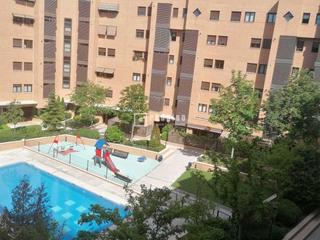 Piso  Amaltea
