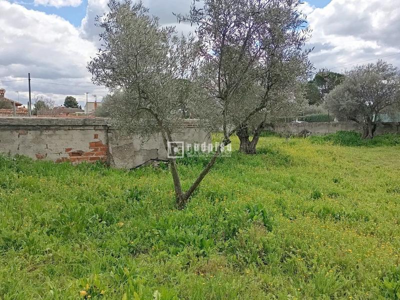 Foto 26f9ea7d-74af-4bc7-9cc4-c58563ce9148. Terreny residencial a Numancia de la Sagra