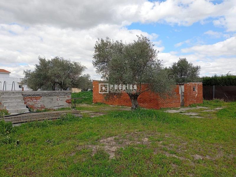 Foto 797a94b3-d5a5-40b1-99c6-f9ce6c2d95db. Terreny residencial a Numancia de la Sagra