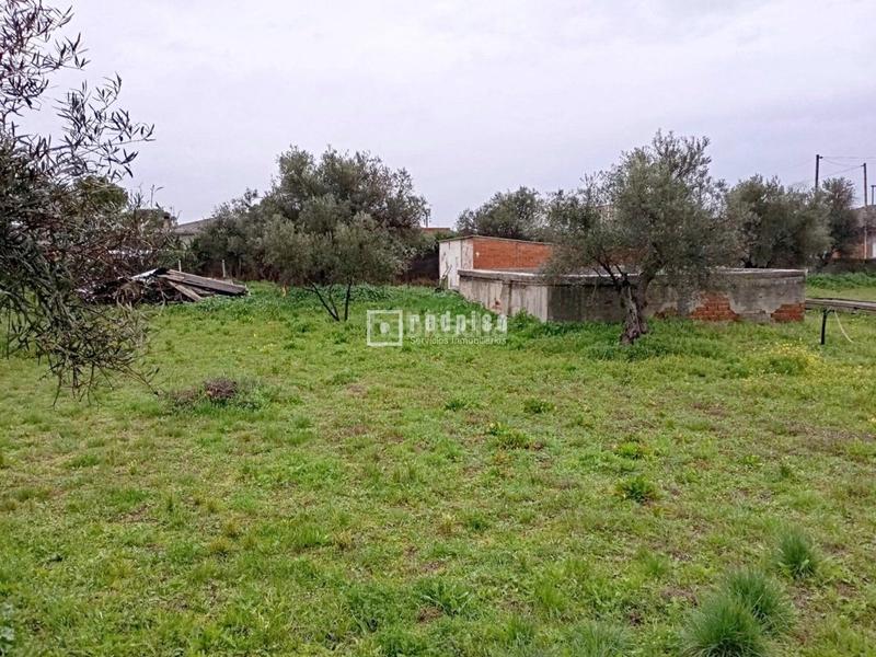 Foto 9ce7452e-5c24-4c00-8a53-dfb00f16e88b. Terreny residencial a Numancia de la Sagra