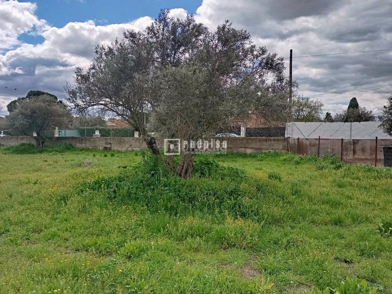 Foto e217a2f4-fd39-4d02-9bac-26f20822b98d. Terreny residencial a Numancia de la Sagra