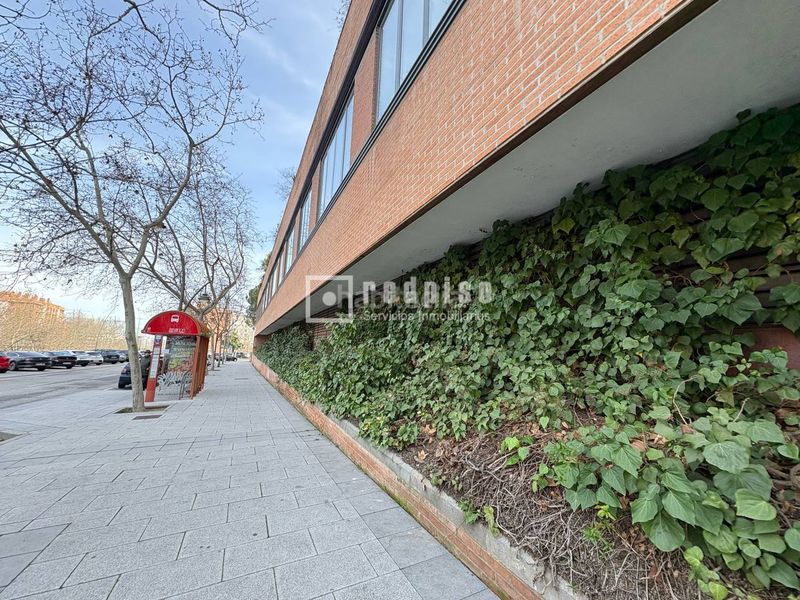 Foto c16120fe-d797-46fb-9e3d-c00b72686239. Estudi a primera fase-nuevo Tres Cantos Tres Cantos