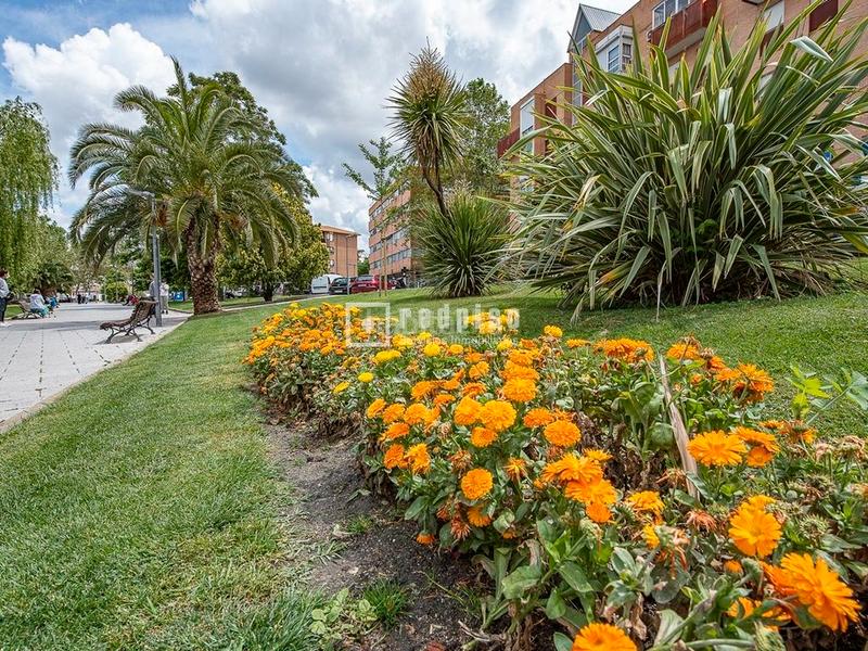Foto c271ef27-040e-4b64-8228-9151400f2c24. Pis amb calefacció a San José-Buenos Aires Pinto