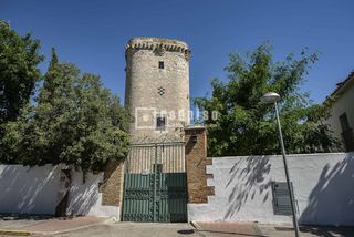 Rent Business premise  Del cristo. Local a pie de calle