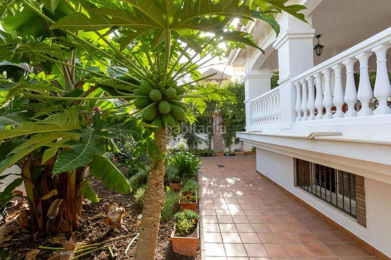 Foto b5321d2a-e039-4f7c-99f9-9b960003829f. Chalet gran casa en Motril ciudad Motril