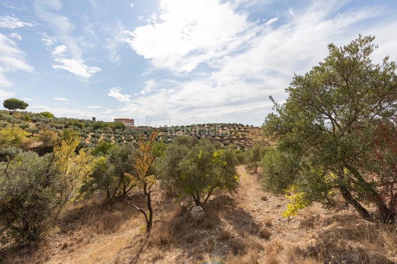 Foto 0c9631bc-b1cf-45a5-b8e5-bdb024fcfedc. Mas avec piscine dans Cogollos de la Vega