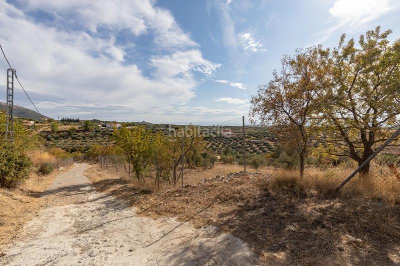 Foto 4a43f04d-71dc-4bf9-b350-c82380340648. Mas avec piscine dans Cogollos de la Vega