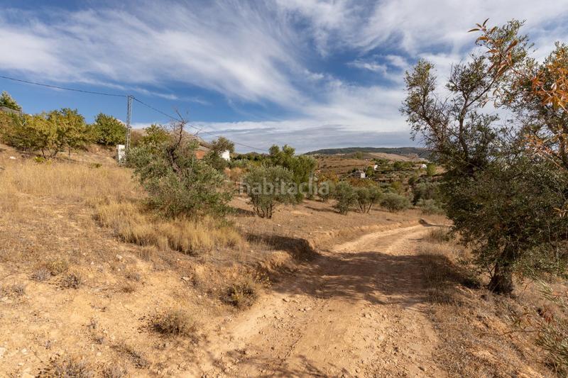 Foto 8ce1a842-b518-43fc-bc25-fc461240f71e. Mas avec piscine dans Cogollos de la Vega