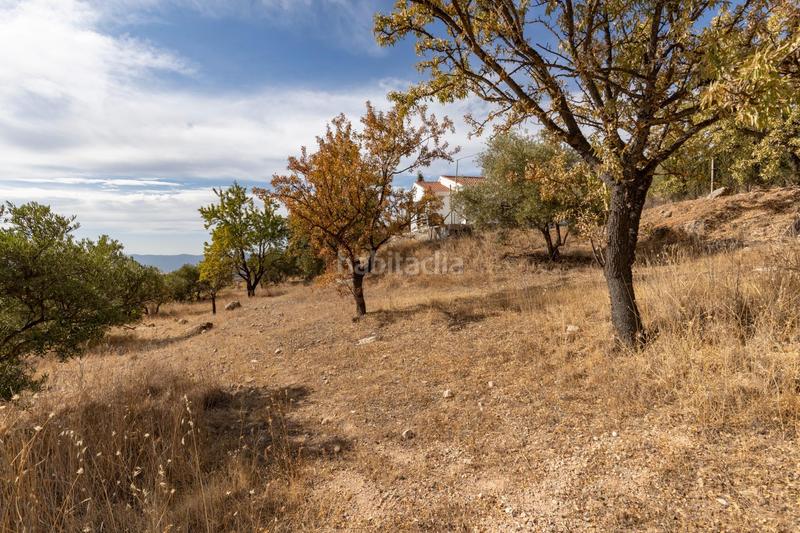 Foto ce345723-37c0-4879-a252-910e19c8c70a. Mas avec piscine dans Cogollos de la Vega
