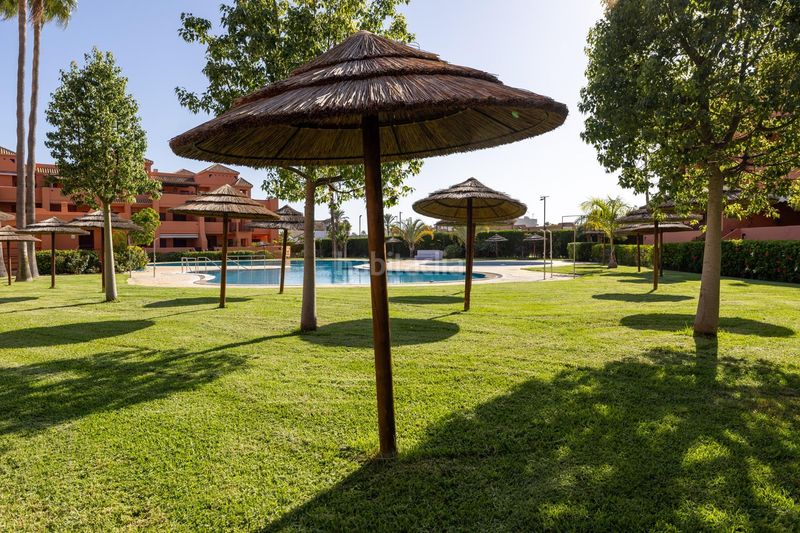 Foto 316bc4d1-579f-4149-b213-47fdaed59762. Àtic amb aparcament piscina a Playa de Granada Motril