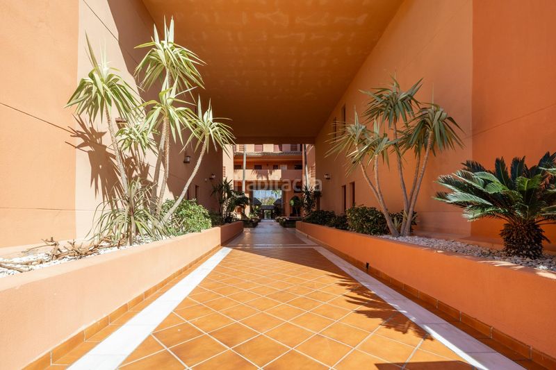 Foto c22b87d1-4bc1-4014-9258-602cc8d5a416. Àtic amb aparcament piscina a Playa de Granada Motril