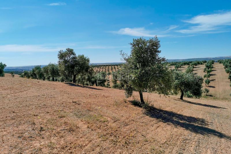 Foto b5b24f35-ebd5-4105-b85b-712378e8bf88. Finca rústica a Huelma