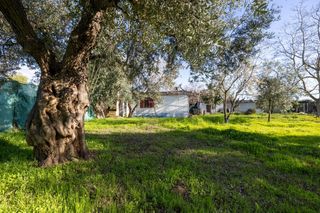 House  Del cerro. Cortijo casa de campo a 2 minutos del casco urbano de otura. tu