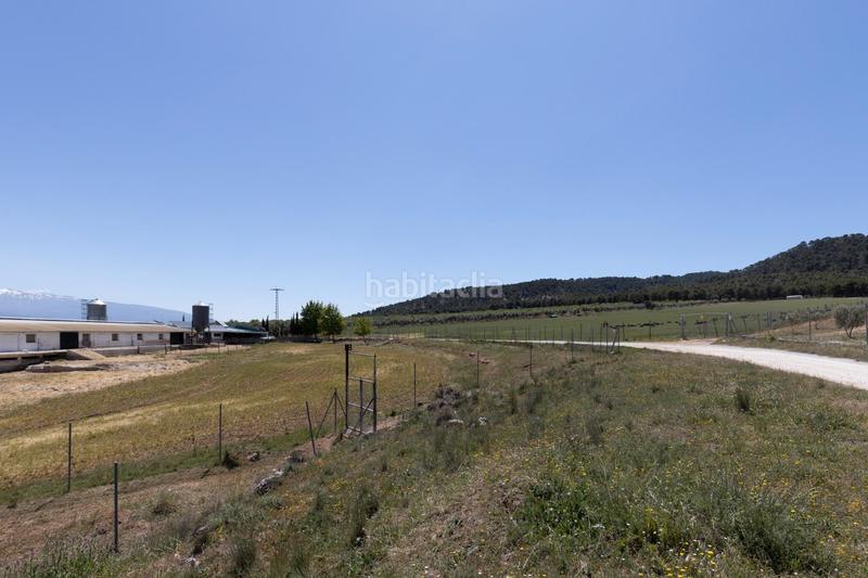 Foto 024b487d-ea75-4acd-b4cc-6b9588a5ac47. Finca rústica en carretera facirretama s/n se vende explotacion agrícolaganadera en pleno funcionamiento en Padul