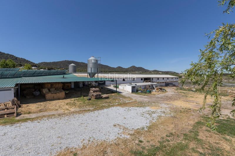 Foto 0aa349b3-9839-4666-8206-1cddf0a5bdc4. Finca rústica en carretera facirretama s/n se vende explotacion agrícolaganadera en pleno funcionamiento en Padul