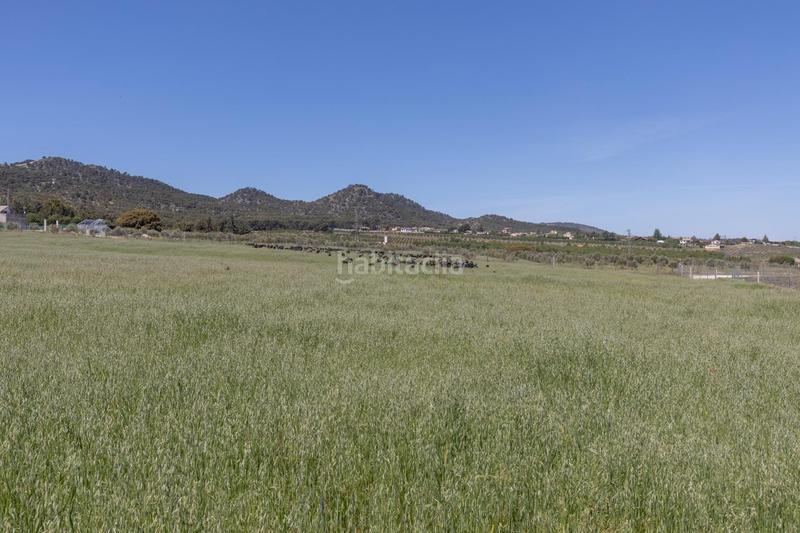 Foto 5c9a73a2-51b6-40dc-8e33-a919c2ee1a1e. Finca rústica en carretera facirretama s/n se vende explotacion agrícolaganadera en pleno funcionamiento en Padul