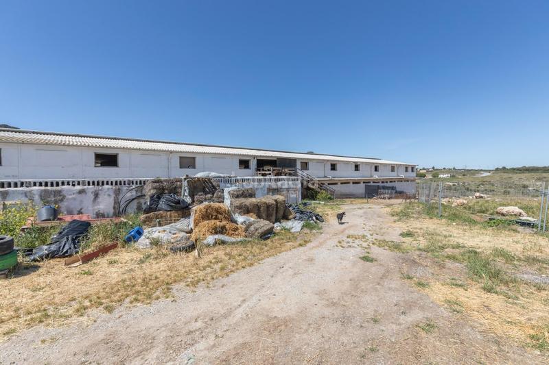 Foto 5e00aa8c-2014-4fcb-8181-9b8b3bc5a166. Finca rústica en carretera facirretama s/n se vende explotacion agrícolaganadera en pleno funcionamiento en Padul