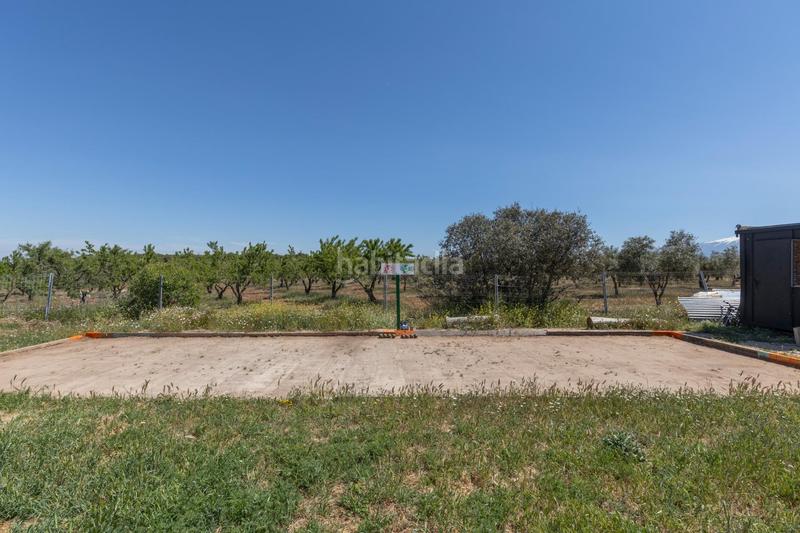 Foto 79810109-4bd1-4626-b645-fd6659ab2c76. Finca rústica en carretera facirretama s/n se vende explotacion agrícolaganadera en pleno funcionamiento en Padul