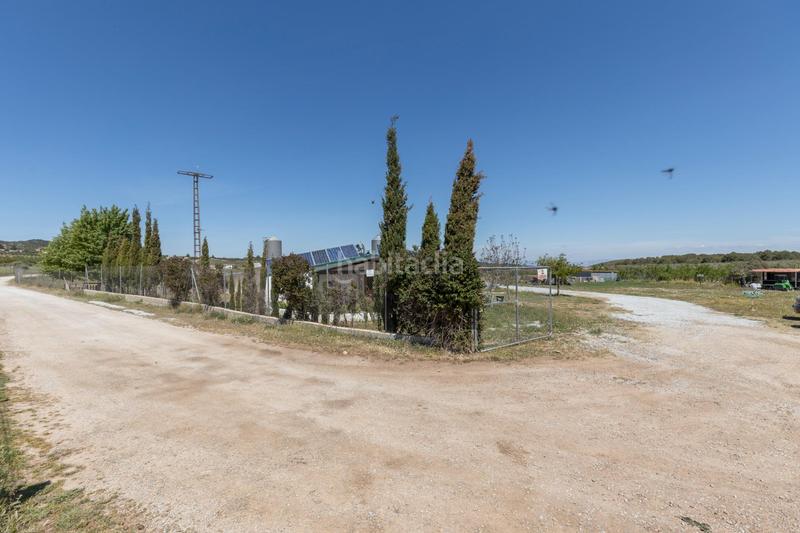 Foto 8f0db0f1-f012-4f97-ae1b-c7995a1cd9cd. Finca rústica en carretera facirretama s/n se vende explotacion agrícolaganadera en pleno funcionamiento en Padul