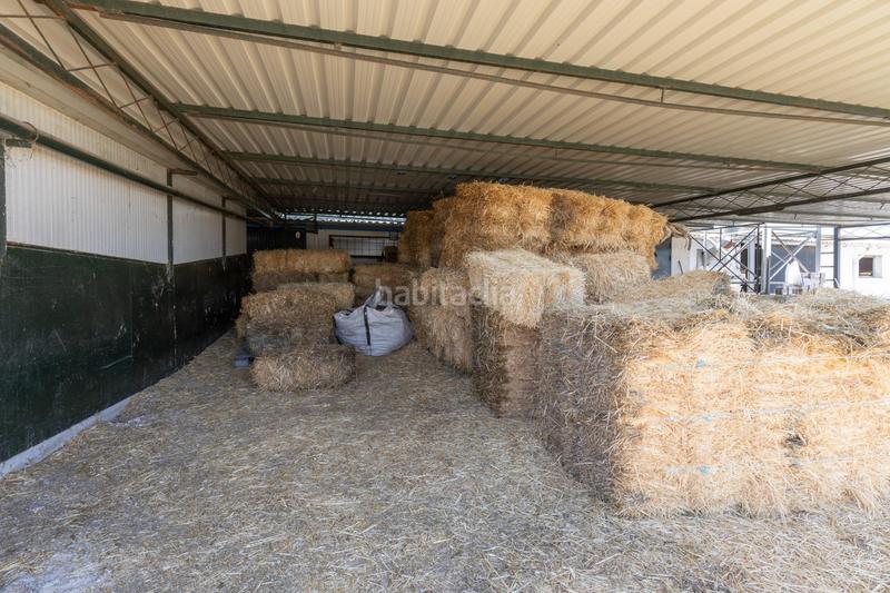 Foto e598e1b8-cd08-4a72-a3b9-23641a505163. Finca rústica en carretera facirretama s/n se vende explotacion agrícolaganadera en pleno funcionamiento en Padul
