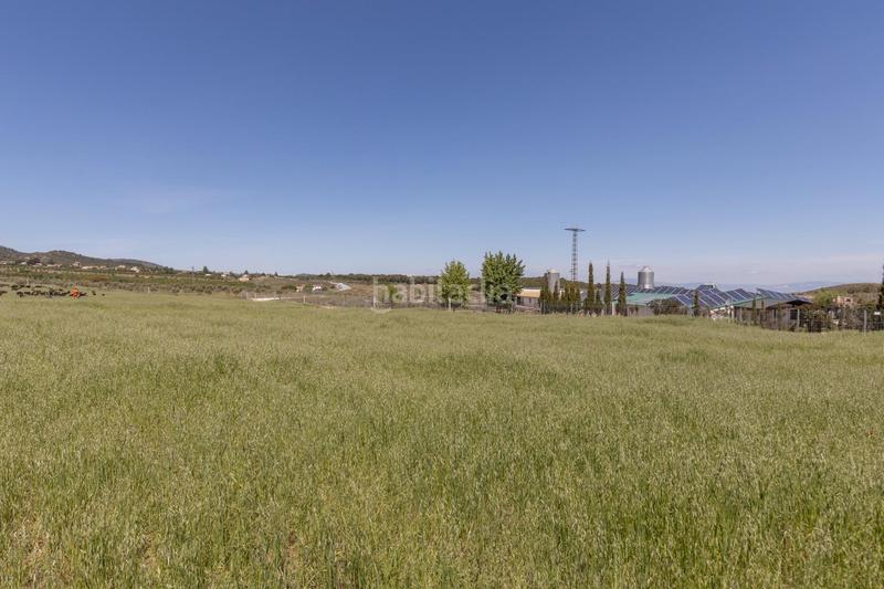 Foto f20e2978-f94f-4fd6-816c-94e1de40bb6b. Finca rústica en carretera facirretama s/n se vende explotacion agrícolaganadera en pleno funcionamiento en Padul