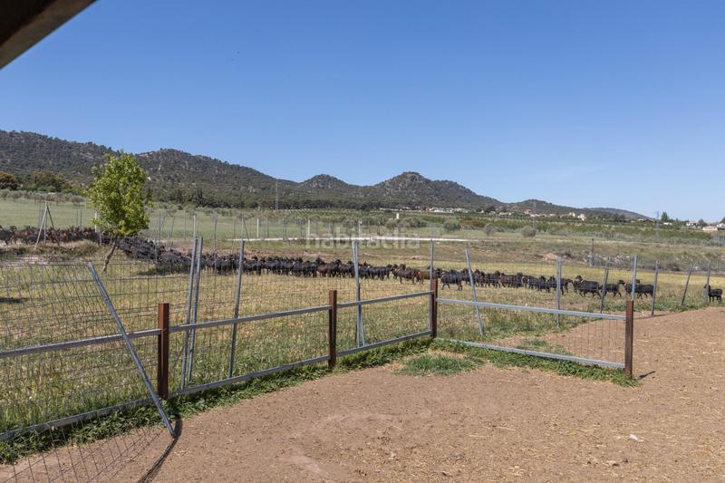 Foto ff2bdddf-24f1-4d14-9fae-9fc0dde857fe. Finca rústica en carretera facirretama s/n se vende explotacion agrícolaganadera en pleno funcionamiento en Padul