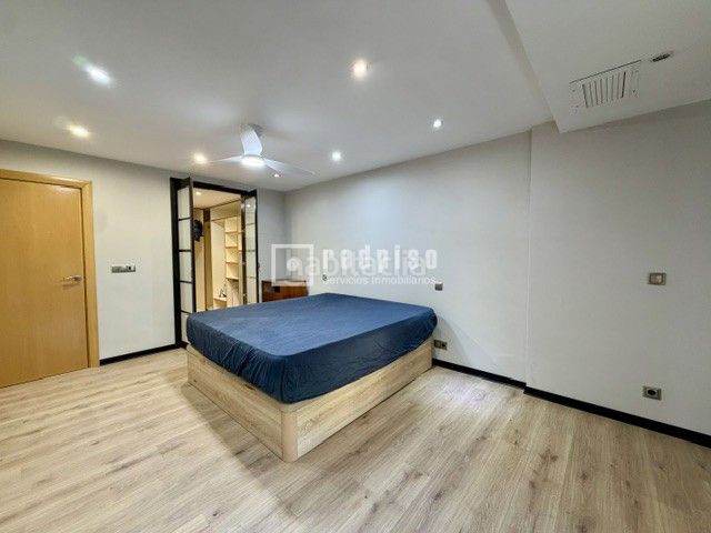 Foto 61954edd-84f8-443d-8751-4569a0276c2e. Rent flat in Castilla Madrid