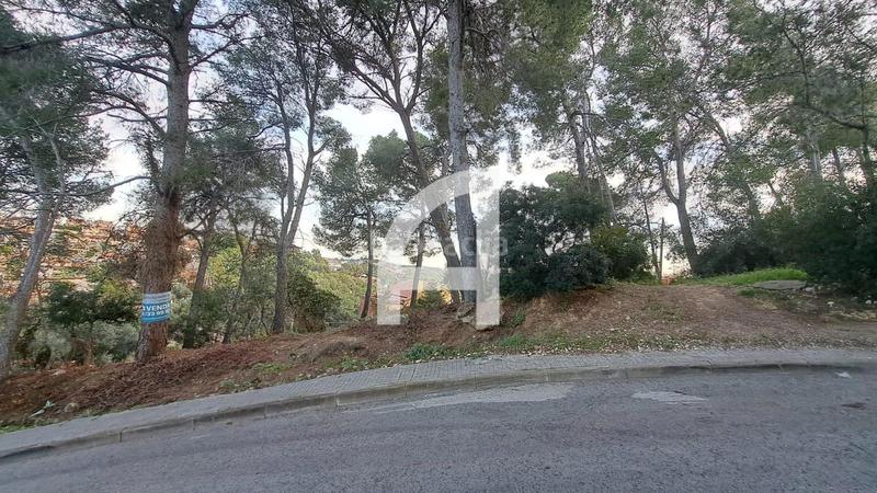 Foto 21e93f8c-d607-4895-9ba8-34b715139cda. Propriété dans Castellnou-Can Mir-Can Solà Rubí
