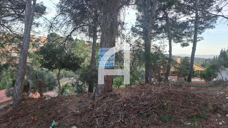 Foto 3b24f549-58ed-47f0-b712-d88b37b5a188. Propriété dans Castellnou-Can Mir-Can Solà Rubí