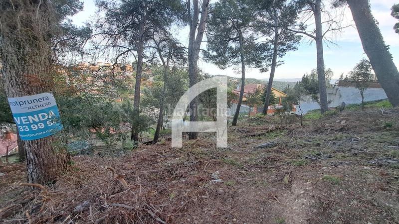 Foto 50121a8e-6f5d-49ce-8e5a-c98a70ffd6ea. Propriété dans Castellnou-Can Mir-Can Solà Rubí