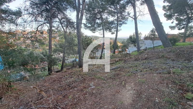 Foto b77fddd9-3816-480b-b5b8-1a582b66315d. Propriété dans Castellnou-Can Mir-Can Solà Rubí
