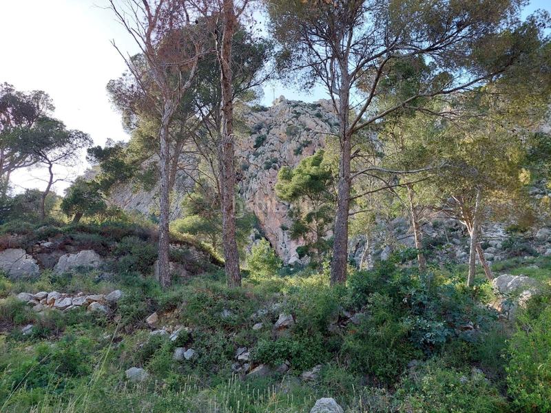 Foto 179558cf-bd9d-48e4-89ec-b2da0fc3c04a. Terreno residencial en atlantic 16 parcela con vista al mar en Estartit