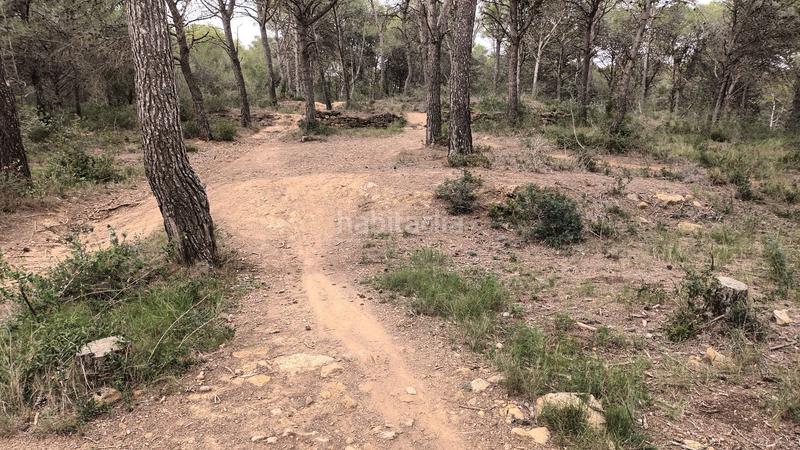 Foto 1575e42d-bb24-417c-9362-97434e9be298. Fondo rustico in Torre Vella - Torre Gran - Les Dunes Estartit