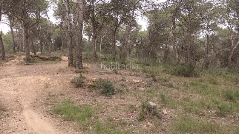 Foto 5b3a1fe7-57c2-4236-b4cd-b73bdcf20d99. Fondo rustico in Torre Vella - Torre Gran - Les Dunes Estartit