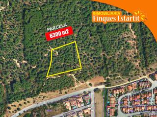 Finca rústica a Torre Vella - Torre Gran - Les Dunes. Finca rustica en venta