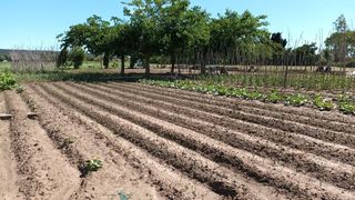 Landgut in Els Griells. Finca con agua