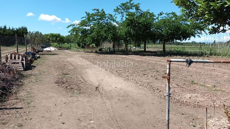 Foto 1af4a3f4-c53e-4b41-9804-3b01af46ce0c. Finca rústica a Els Griells Estartit