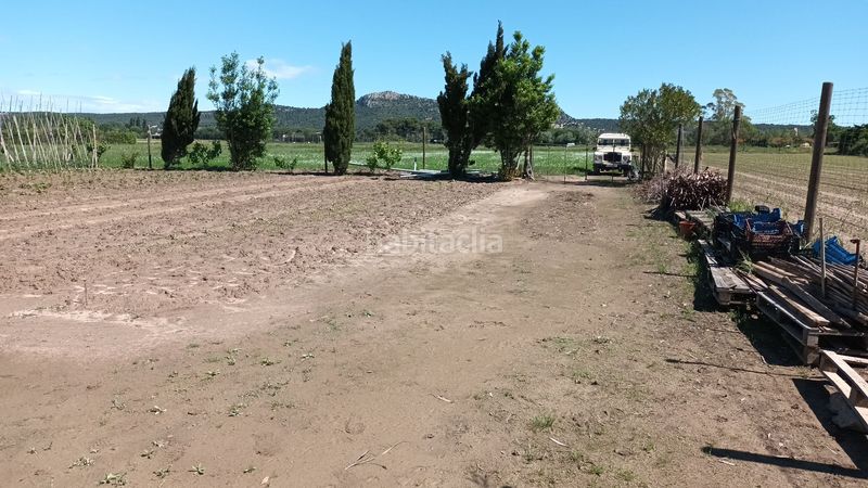 Foto 54c8eed5-c53d-48d6-8f61-7878f7e1c134. Finca rústica a Els Griells Estartit
