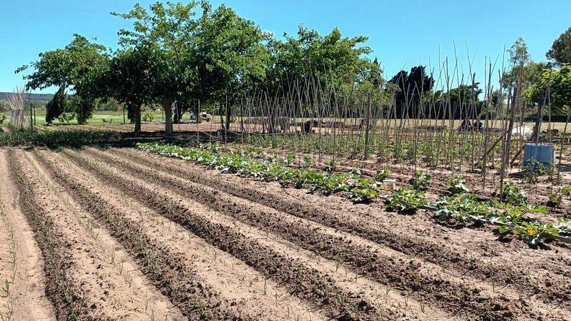 Foto a7e119d4-e74f-4767-822c-bc5ebccb4a32. Finca rústica a Els Griells Estartit