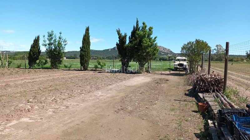 Foto b5c7a088-56a6-48ff-8c0a-f7cdcc94394b. Finca rústica a Els Griells Estartit